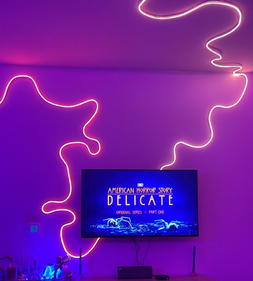 NEON FLEX LED LIGHT STRIP